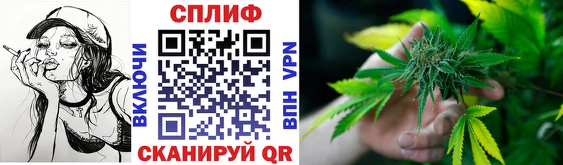 как найти наркотики  Хасавюрт  Каннабис MAZAR 